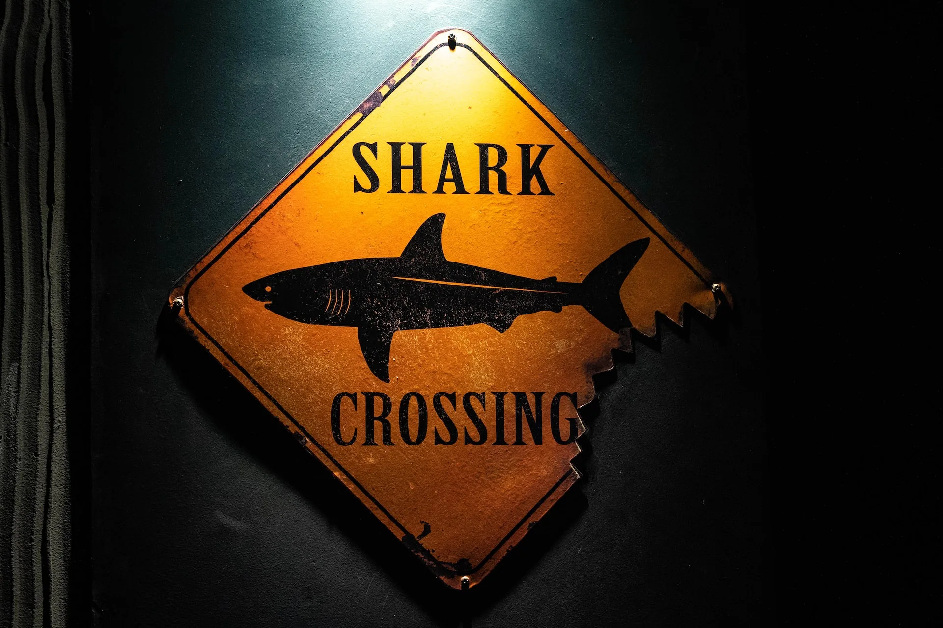 No Shark Tank, cuidado com a armadilha dos tubarões